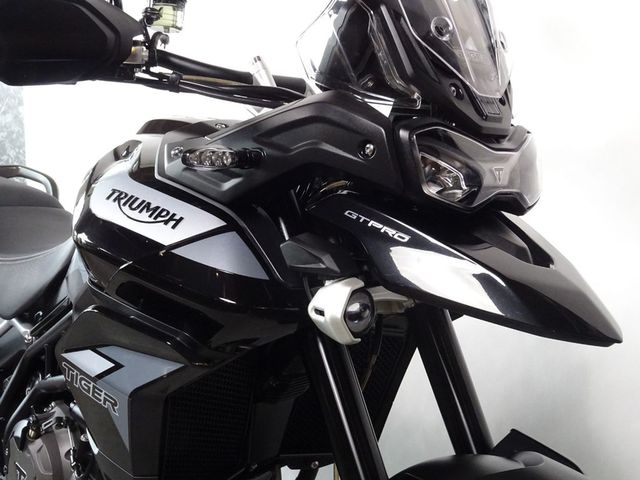 triumph - tiger-900-gt-pro
