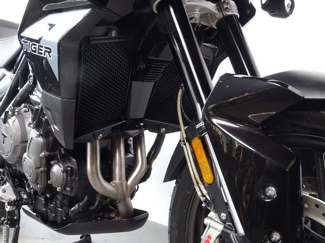 triumph - tiger-900-gt-pro