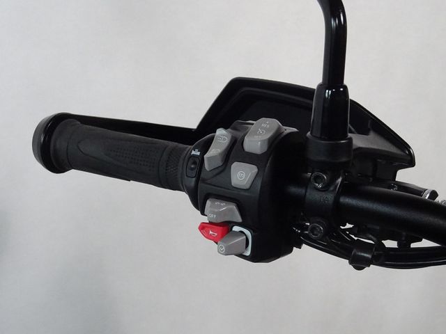 triumph - tiger-900-gt-pro