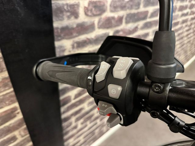 triumph - tiger-900-rally-pro