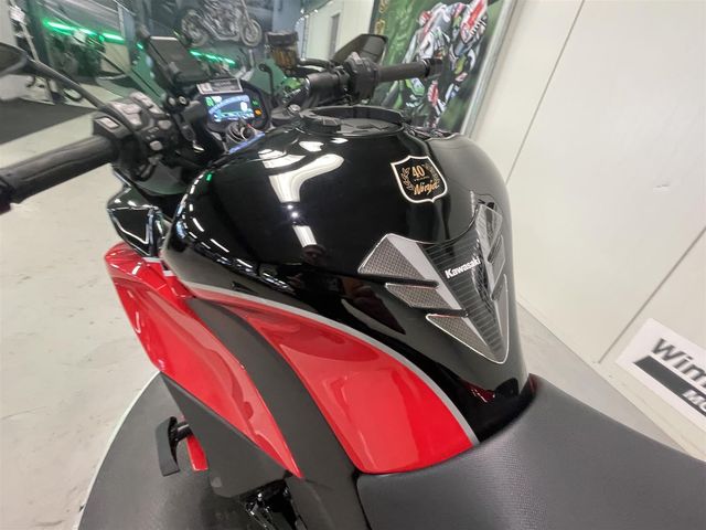 kawasaki - ninja-1000sx-performance-tourer