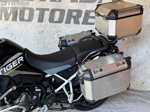 triumph - tiger-900-rally-aragon-edition