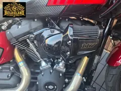 Harley-Davidson LOW Rider ST Fxlrst 2024 occasion – foto 13 van 24