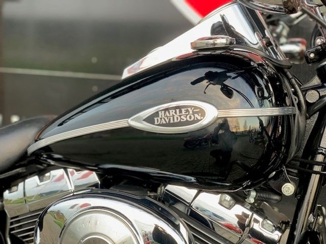 harley-davidson - springer-classic-flstsc-softail