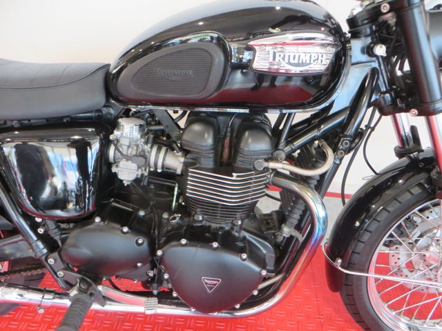 triumph - bonneville