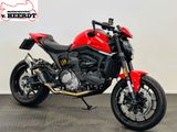 DUCATI MONSTER +