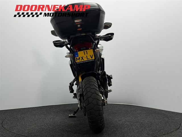 ducati - multistrada-950