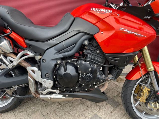 triumph - tiger-1050-abs