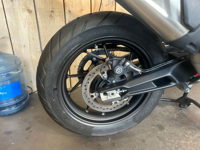 triumph - tiger-900-gt-pro