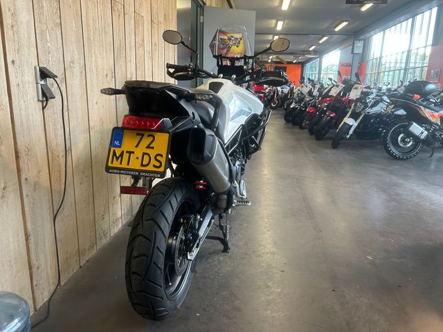 triumph - tiger-900-gt-pro