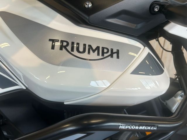 triumph - tiger-900-gt-pro