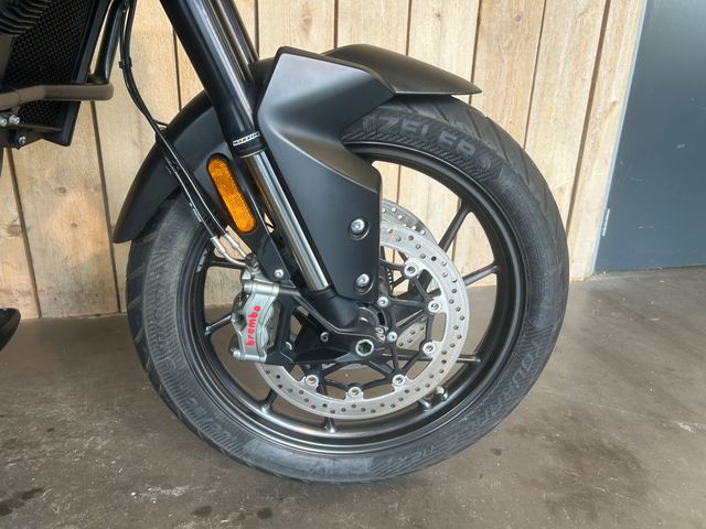 triumph - tiger-900-gt-pro
