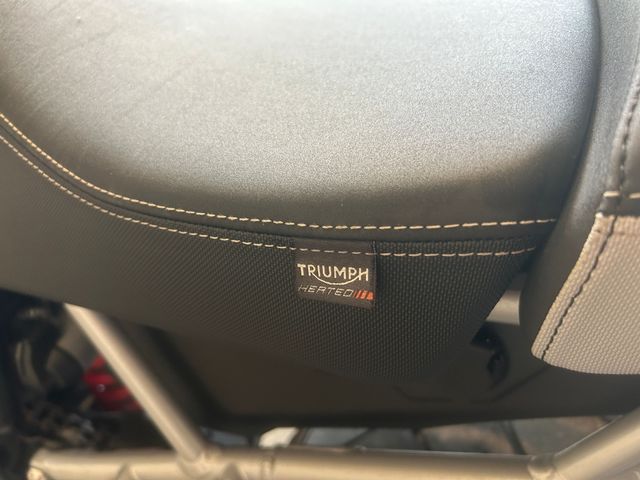 triumph - tiger-900-gt-pro