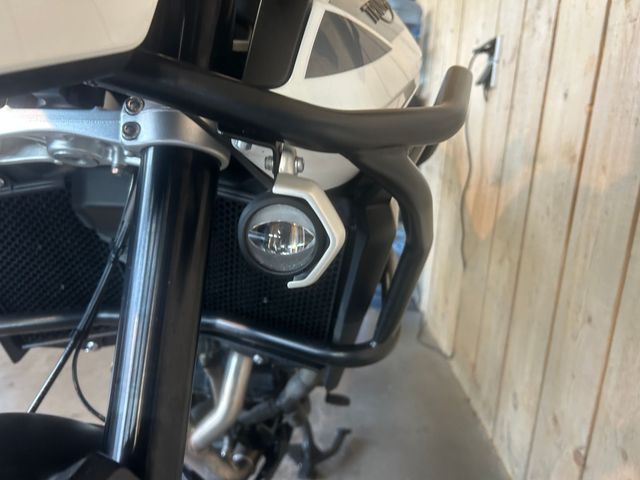 triumph - tiger-900-gt-pro
