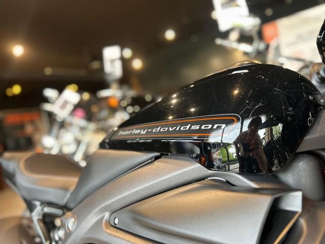 harley-davidson - livewire