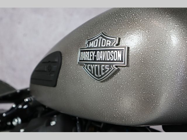 harley-davidson - softail-standard