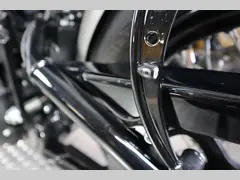 Harley-Davidson Softail Standard 2021 occasion – foto 19 van 23