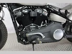 Harley-Davidson Softail Standard 2021 occasion – foto 14 van 23