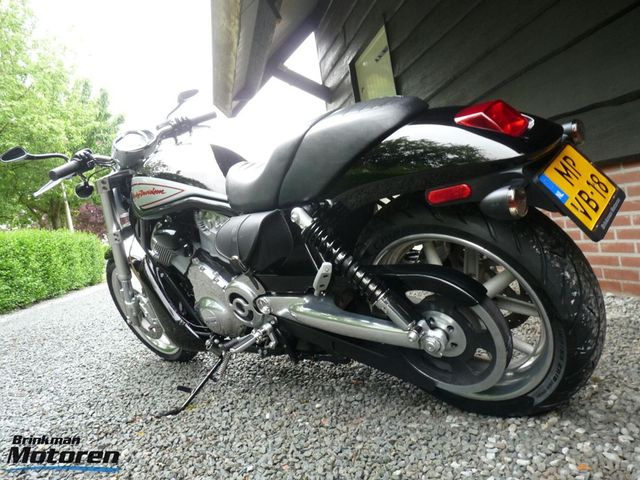 harley-davidson - v-rod-street-rod-vrscr