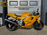 TRIUMPH DAYTONA T  595