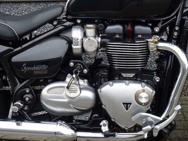 triumph - bonneville-speedmaster