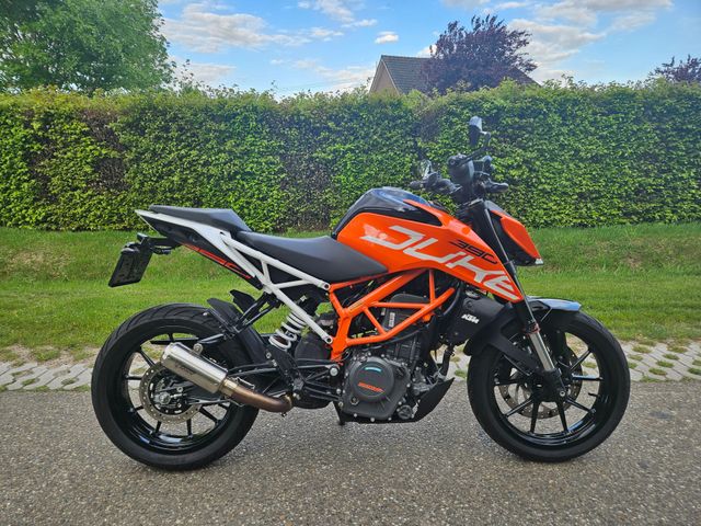 ktm - 390-duke