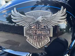 Harley-Davidson Street Glide Streetglide (5hd) 2017 occasion – foto 9 van 20