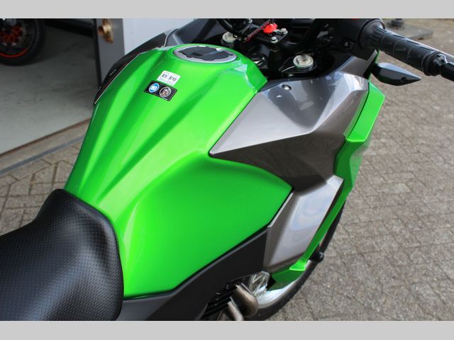 kawasaki - versys-x-300