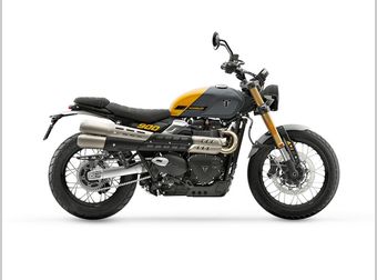 Triumph Scrambler 900 2026 nieuw
