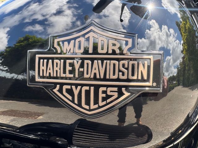 harley-davidson - low-rider-s