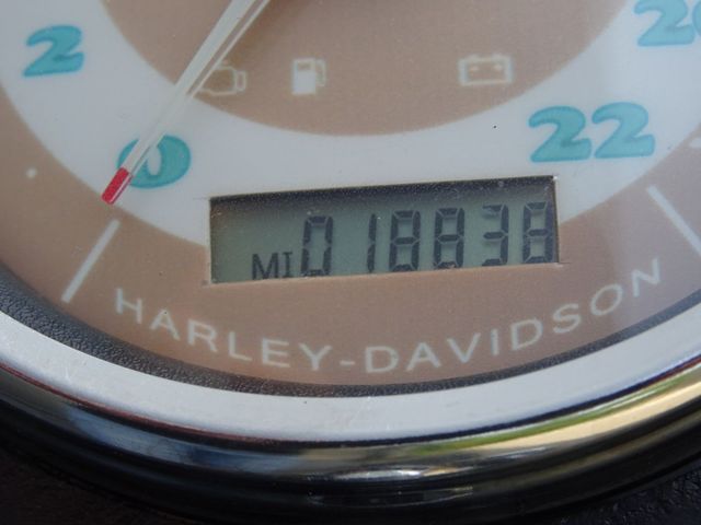 harley-davidson - softail-deluxe-flstni