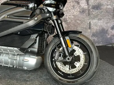 HARLEY-DAVIDSON LIVEWIRE – foto 4