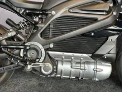 Harley-Davidson Livewire 2020 occasion – foto 6 van 14