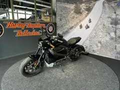 Harley-Davidson Livewire 2020 occasion – foto 10 van 14