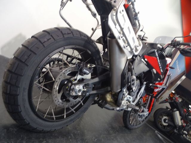 ducati - desertx