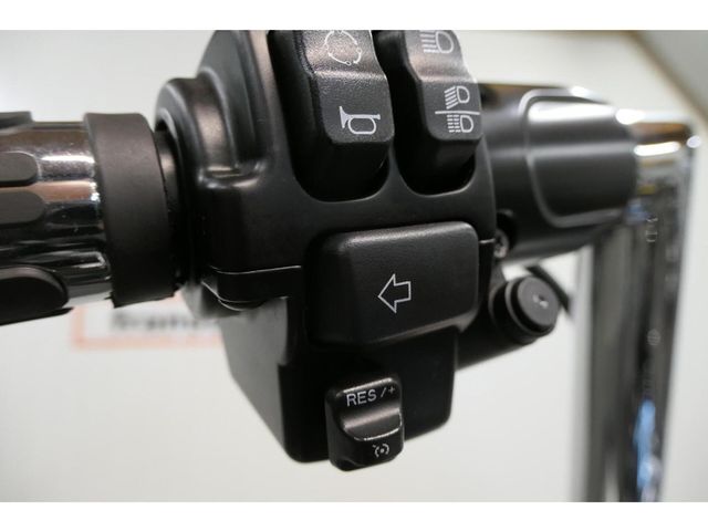 harley-davidson - fat-boy-114-flfbs-softail