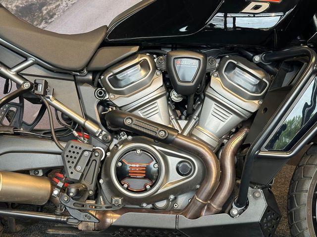 harley-davidson - pan-america--ra-1250-special