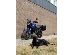 Yamaha XT 1200 Z Super tenere 2014 occasion – foto 8 van 9