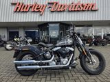 HARLEY-DAVIDSON CROSS BONES FLSTSB