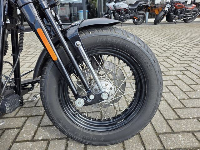 harley-davidson - cross-bones-flstsb