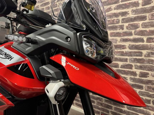 triumph - tiger-900-gt-pro