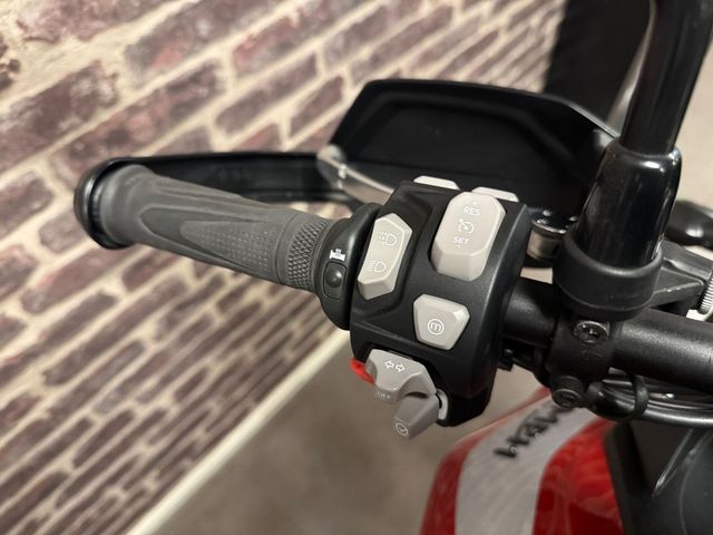 triumph - tiger-900-gt-pro