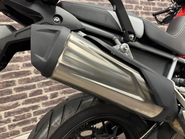 triumph - tiger-900-gt-pro
