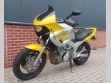 YAMAHA TDM 850