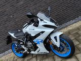SUZUKI GSX-8R