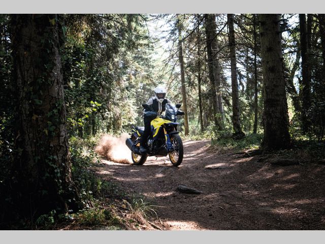 suzuki - v-strom-800-de