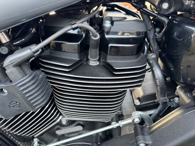 harley-davidson - softail-low-rider-s-114