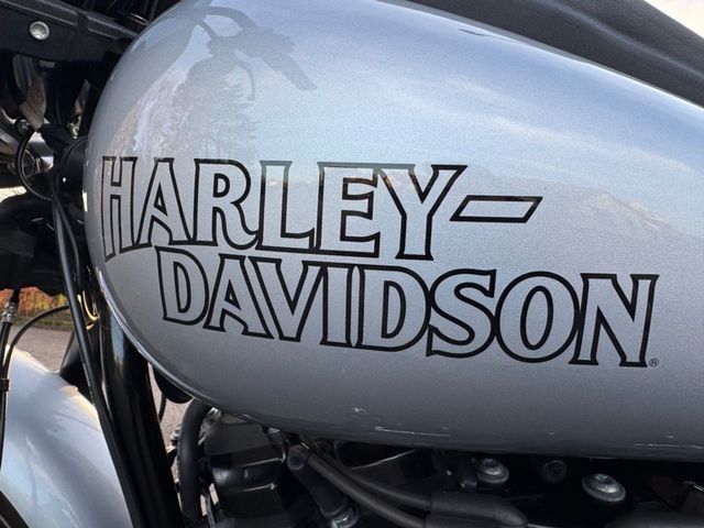 harley-davidson - softail-low-rider-s-114