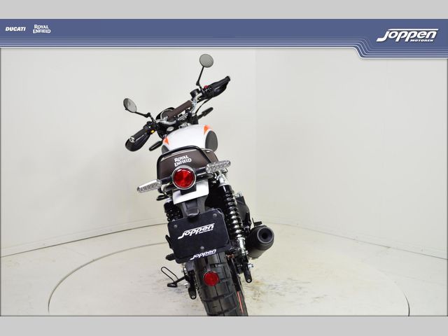 royal-enfield - bear-650