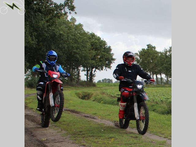 Arctic-Leopard - cheetah-exe-880